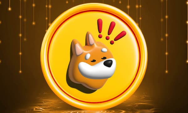 Solana-based Bonk.Fun Domain Hijacked and Wallet Drained