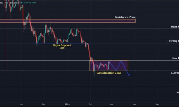 LINK Holds $8.00 Support but Breakdown Points to Deeper Correction