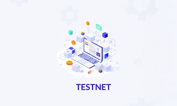 What is Testnet - Everything You Need to Know