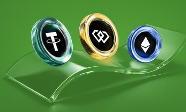 How to Use WEEX Copy Trading?