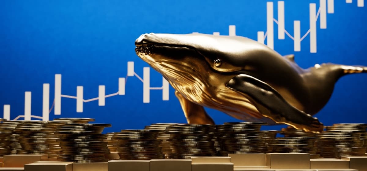 What Are Cryptocurrency Whales and How Do They Affect the Market?