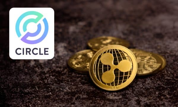 Ripple CEO Denies $5 Billion Offer to Acquire Circle Amid Growing Stablecoin Competition
