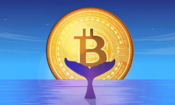 Bitcoin Whale Sells 24,000 BTC and Triggers Flash Crash