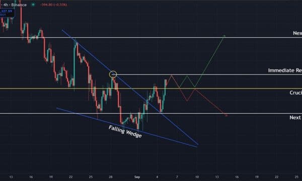 Bitcoin (BTC) Price Analysis: Bulls Eye $117,500 But $100,000 Still in Play