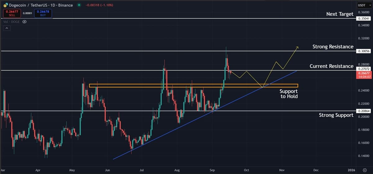 Dogecoin (DOGE) Price Analysis: Key Bounce Zone at $0.25 Could Signal Next Rise