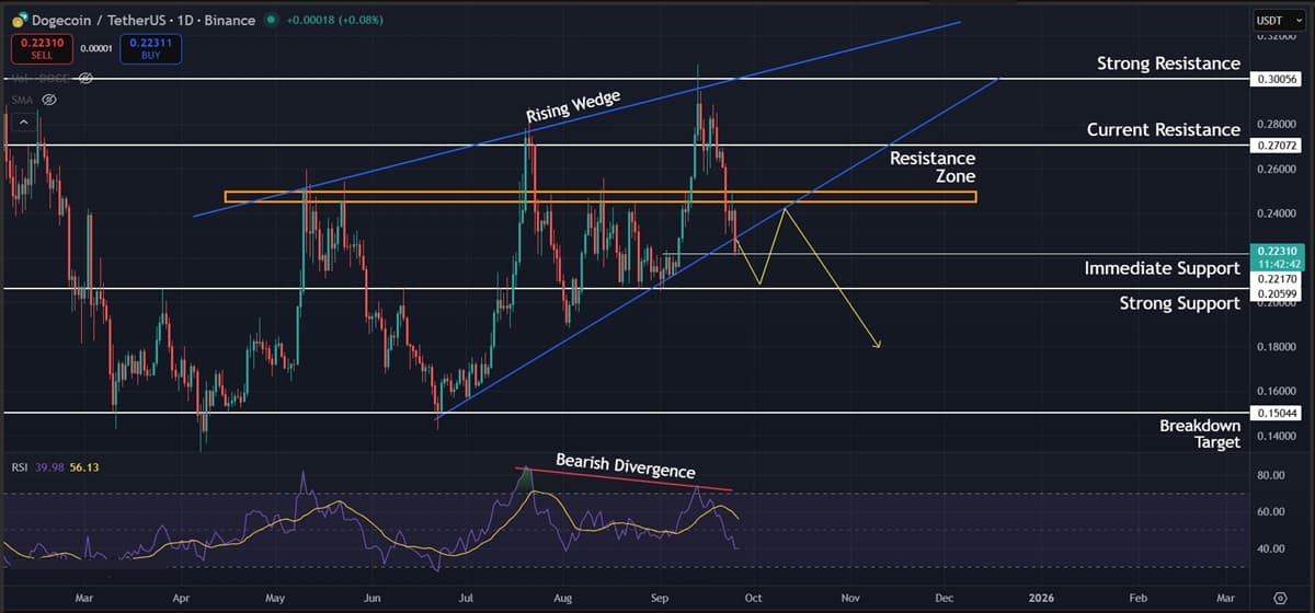 Dogecoin (DOGE) Price Analysis: Bears Take Over After $0.250 Support Fails