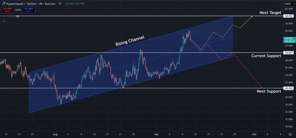 Hyperliquid (HYPE) Price Analysis: Short-Term Target at $60 While $50 Level Stays Crucial