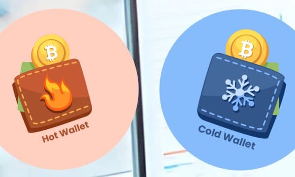 Hot Wallets vs. Cold Wallets: Which Crypto Wallet is Right for You
