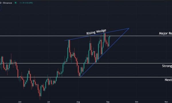 Solana (SOL) Price Analysis: Breakout or Rejection at $210?