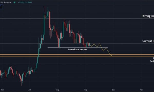 Ripple (XRP) Price Analysis: Descending Triangle Points to Lower Levels