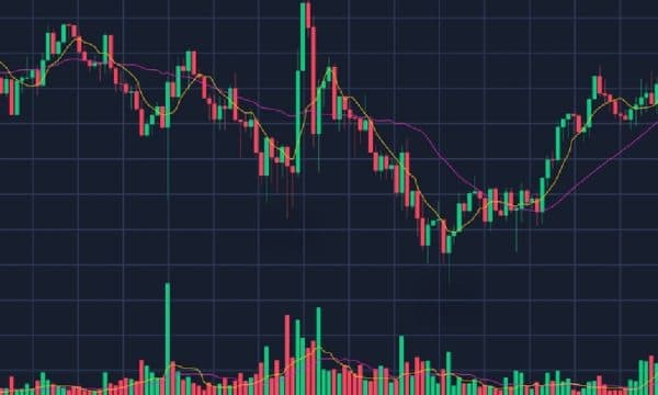 A Beginner's Guide on How to Read Crypto Charts