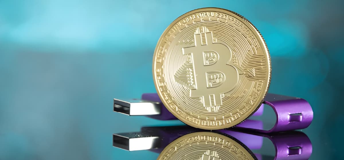 5 Best Crypto Hardware Wallets for Beginners