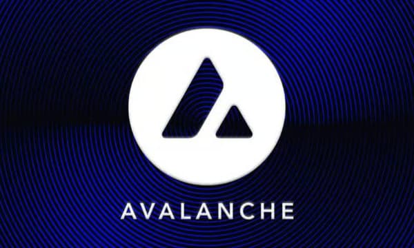 VanEck Launches First U.S. Avalanche Spot ETF on Nasdaq VanEck Launches First U.S. Avalanche Spot ETF on Nasdaq