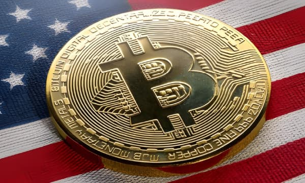 How to Report Crypto Taxes in the USA How to Report Crypto Taxes in the USA
