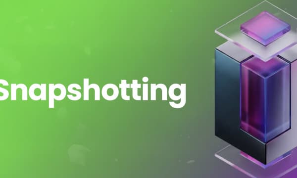 What is Snapshotting? - A Beginner’s Guide to Blockchain Records What is Snapshotting? - A Beginner’s Guide to Blockchain Records