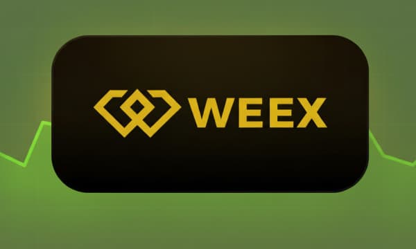 The Ultimate WEEX Futures Trading Guide The Ultimate WEEX Futures Trading Guide