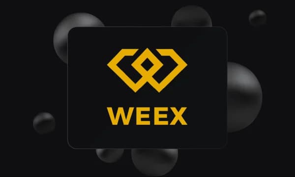 WEEX Exchange Review: Features, Fees, Security, and More WEEX Exchange Review: Features, Fees, Security, and More