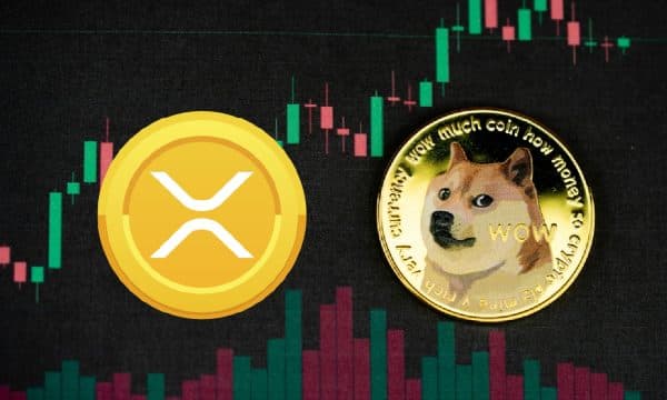 SEC Pushes Back Decision on XRP and Dogecoin ETFs to June SEC Pushes Back Decision on XRP and Dogecoin ETFs to June