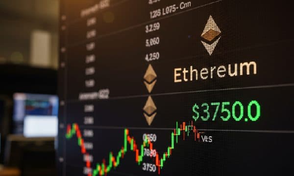 Crypto Stocks Rally as Ethereum Breaks Above $3,700 and Fuels Investor Optimism Crypto Stocks Rally as Ethereum Breaks Above $3,700 and Fuels Investor Optimism