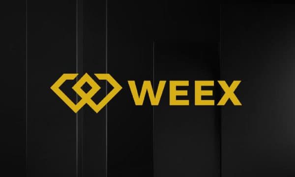 The Ultimate WEEX Exchange Tutorial: Step-by-Step Guide for Beginners The Ultimate WEEX Exchange Tutorial: Step-by-Step Guide for Beginners