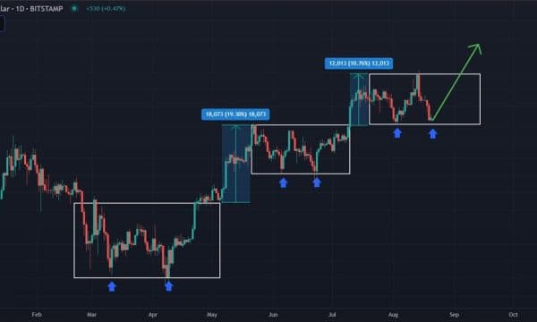 Bitcoin (BTC) Price Analysis (Aug 20, 2025): Double-Bottom Setup or Deeper Correction Toward $100K? Bitcoin (BTC) Price Analysis (Aug 20, 2025): Double-Bottom Setup or Deeper Correction Toward $100K?