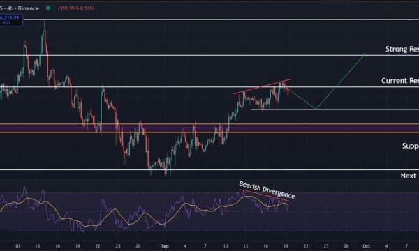Bitcoin (BTC) Price Analysis: Key Resistance at $117,000 as Bulls Eye $120,000 Bitcoin (BTC) Price Analysis: Key Resistance at $117,000 as Bulls Eye $120,000