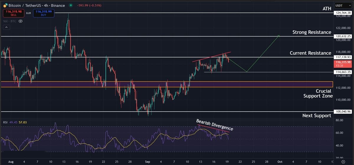 Bitcoin (BTC) Price Analysis: Key Resistance at $117,000 as Bulls Eye $120,000 Bitcoin (BTC) Price Analysis: Key Resistance at $117,000 as Bulls Eye $120,000