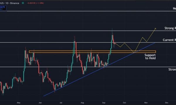 Dogecoin (DOGE) Price Analysis: Key Bounce Zone at $0.25 Could Signal Next Rise Dogecoin (DOGE) Price Analysis: Key Bounce Zone at $0.25 Could Signal Next Rise