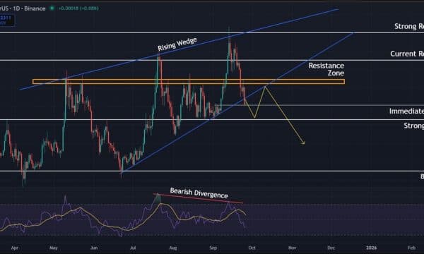 Dogecoin (DOGE) Price Analysis: Bears Take Over After $0.250 Support Fails Dogecoin (DOGE) Price Analysis: Bears Take Over After $0.250 Support Fails