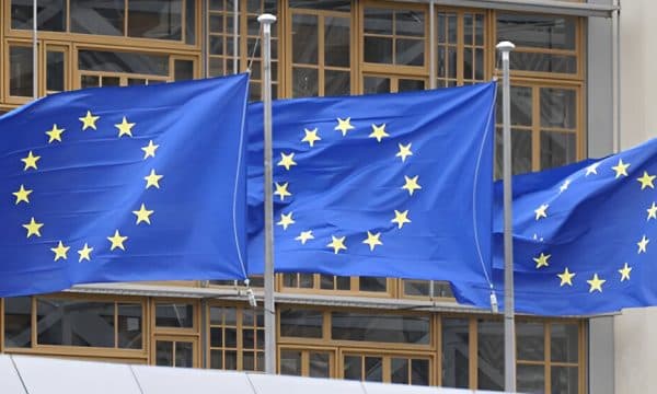 EU Regulator Warns Tokenized Stocks Require Strong Safeguards EU Regulator Warns Tokenized Stocks Require Strong Safeguards