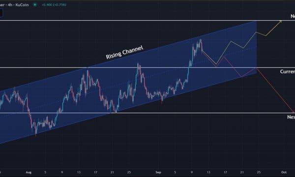 Hyperliquid (HYPE) Price Analysis: Short-Term Target at $60 While $50 Level Stays Crucial Hyperliquid (HYPE) Price Analysis: Short-Term Target at $60 While $50 Level Stays Crucial