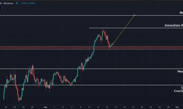 Solana (SOL) Price Analysis: Bulls Eye $260 While Bearish Divergence Signals Caution Solana (SOL) Price Analysis: Bulls Eye $260 While Bearish Divergence Signals Caution