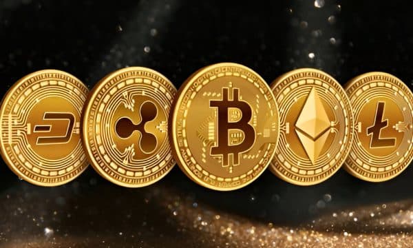 Essential Tips to Diversify Your Crypto Portfolio Essential Tips to Diversify Your Crypto Portfolio