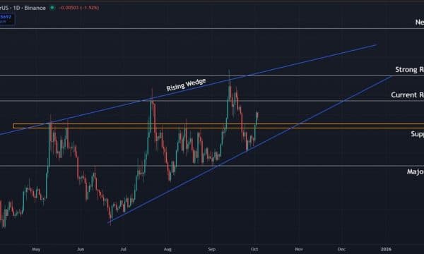 Dogecoin (DOGE) Price Prediction: Key Support at $0.250 Holds the Trend Together Dogecoin (DOGE) Price Prediction: Key Support at $0.250 Holds the Trend Together