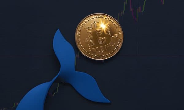 Mystery Whale Doubles Down on Bitcoin Short Mystery Whale Doubles Down on Bitcoin Short