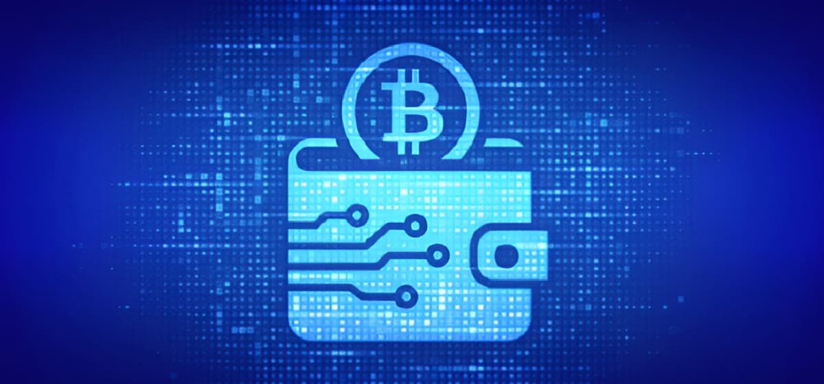 What is a Crypto Wallet? The Ultimate Beginner's Guide What is a Crypto Wallet? The Ultimate Beginner's Guide