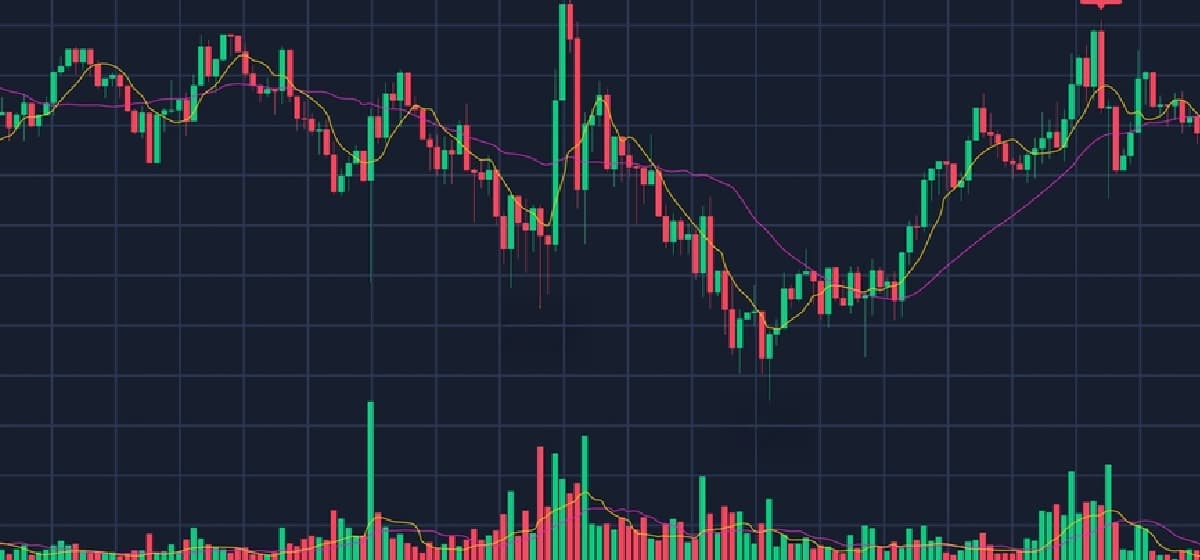 A Beginner's Guide on How to Read Crypto Charts A Beginner's Guide on How to Read Crypto Charts