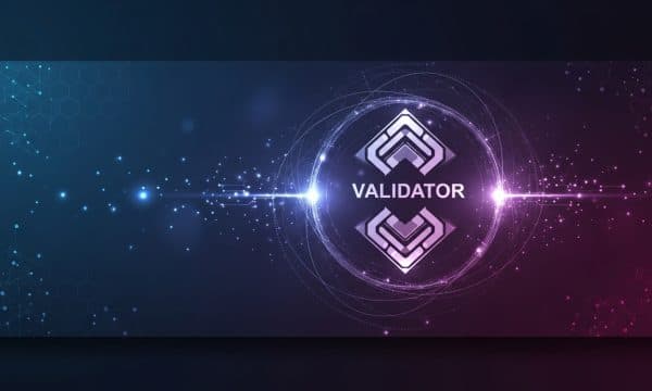 What is a Validator in Crypto – All You Need to Know What is a Validator in Crypto – All You Need to Know