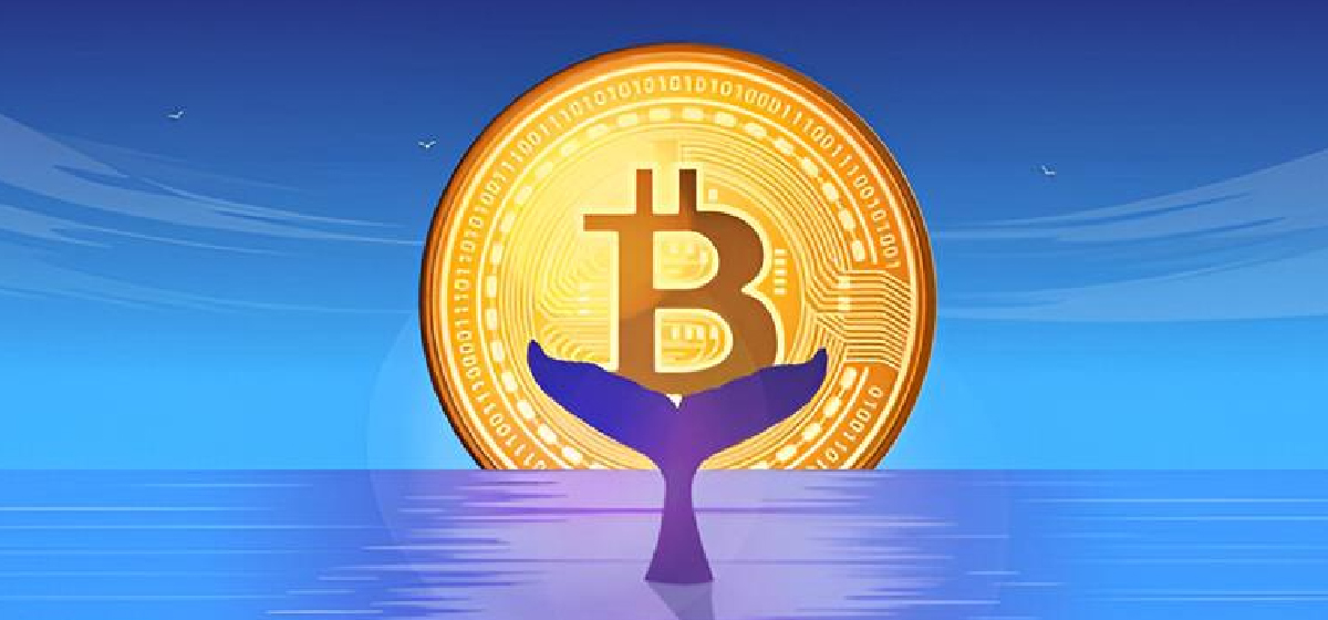 Bitcoin Whale Sells 24,000 BTC and Triggers Flash Crash